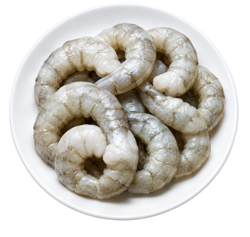 Chicken Breast