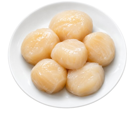 Chicken Breast