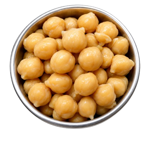Cottage Cheese Paneer